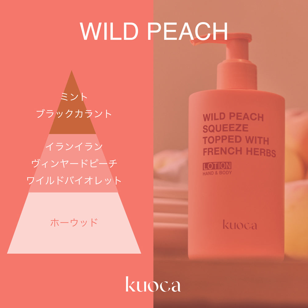 送料込・まとめ買い×100個セット】友和 リ・ヴェール スプレー