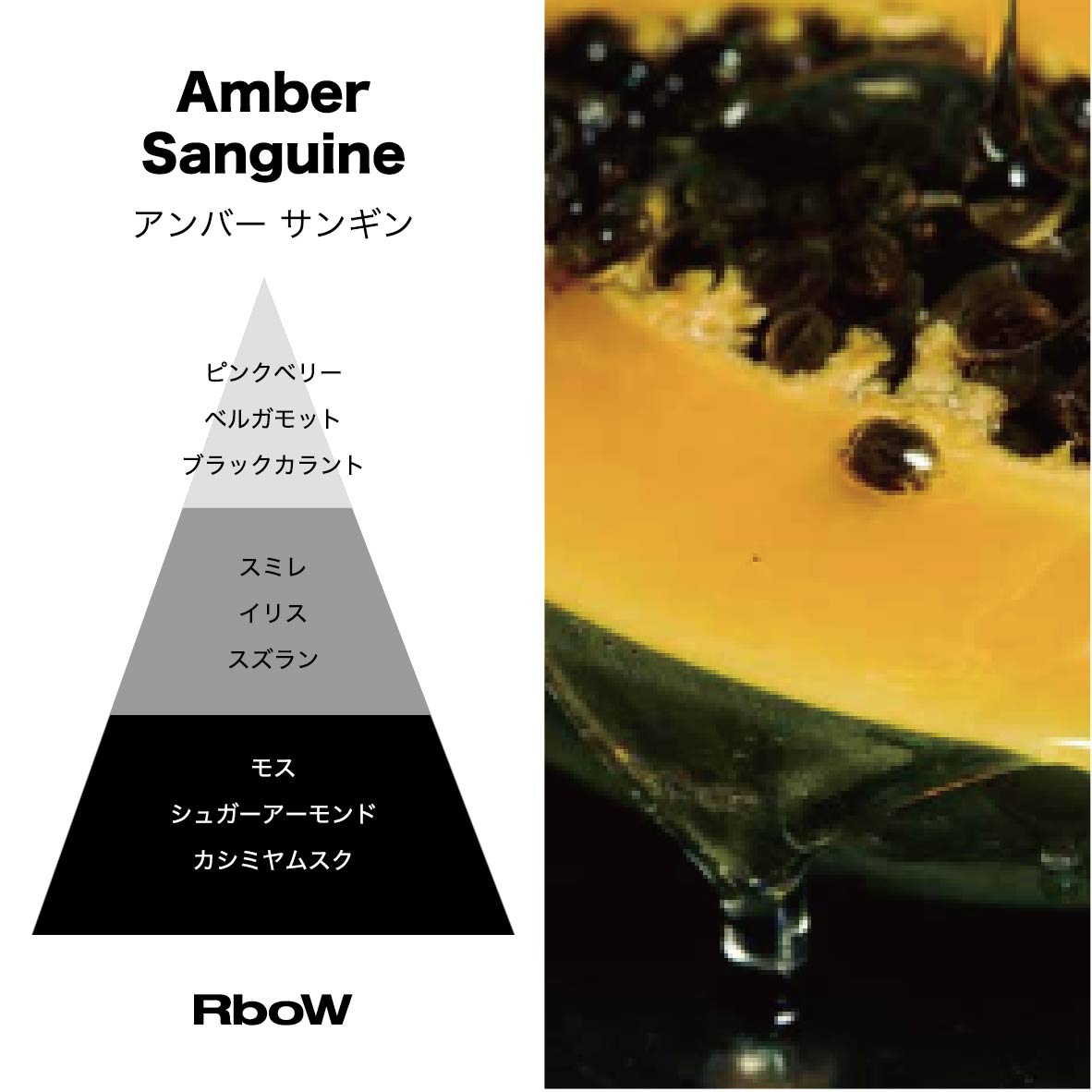 [RboW (アールボウ) ] ケーススタディ オードパルファム　アンバーサンギン 30mL