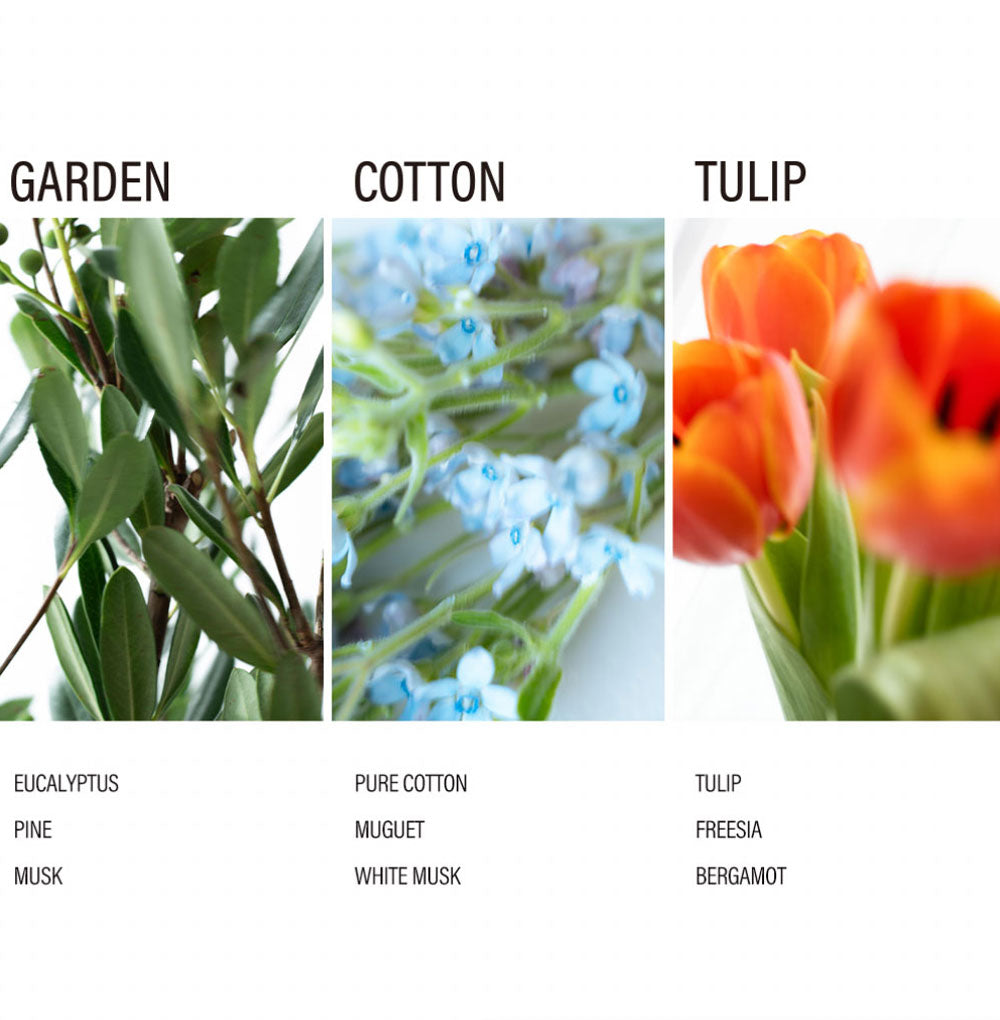 HEMET ディフューザー - GARDEN ガーデン